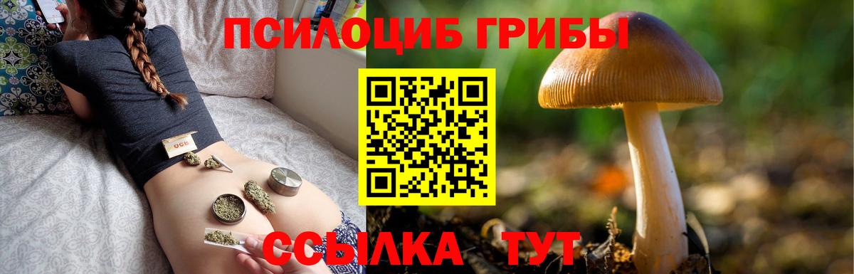 Псилоцибиновые грибы GOLDEN TEACHER  Галлюциногенные грибы MAGIC MUSHROOMS  Вход с VPN  Заводоуковск 